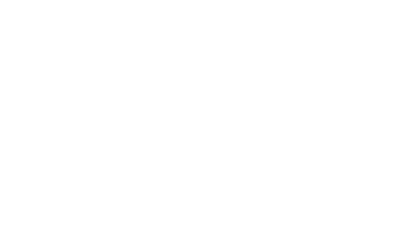 РАНХиГС · ВШГУ