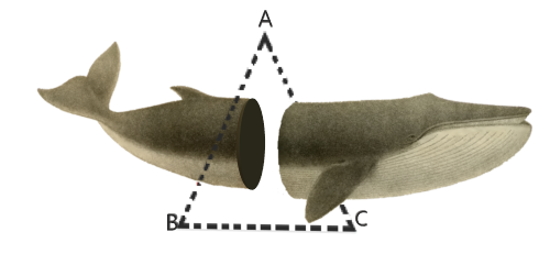 блог