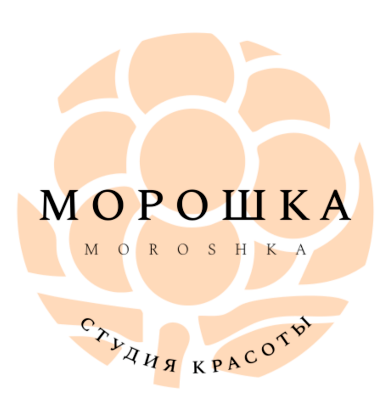 Морошка Студия Красоты в Петроградском районе