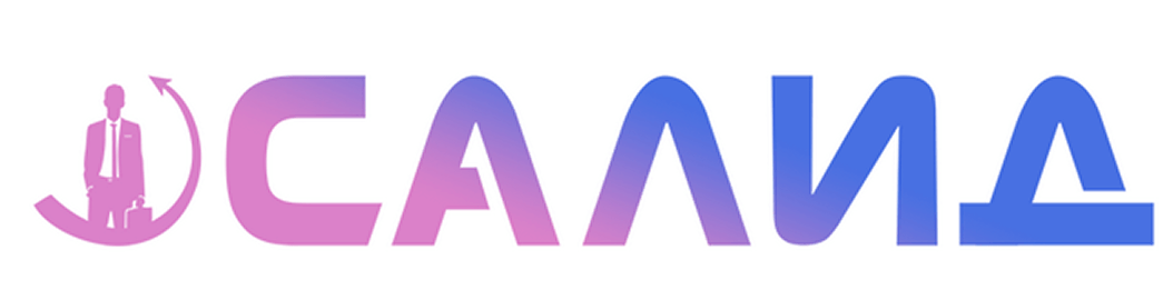 Иллюстрация платформы Salid