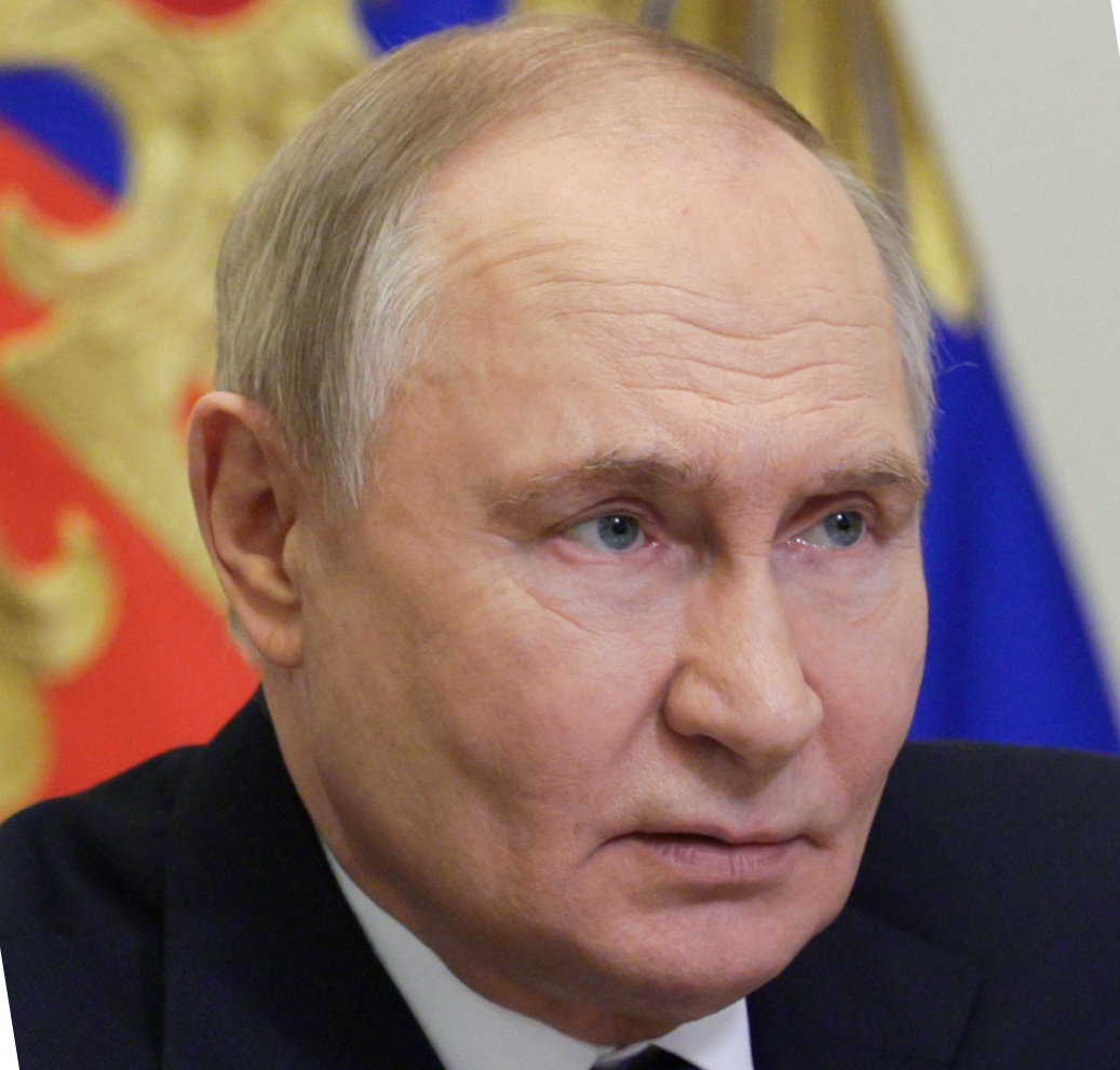 Официальный портрет В. В. Путина