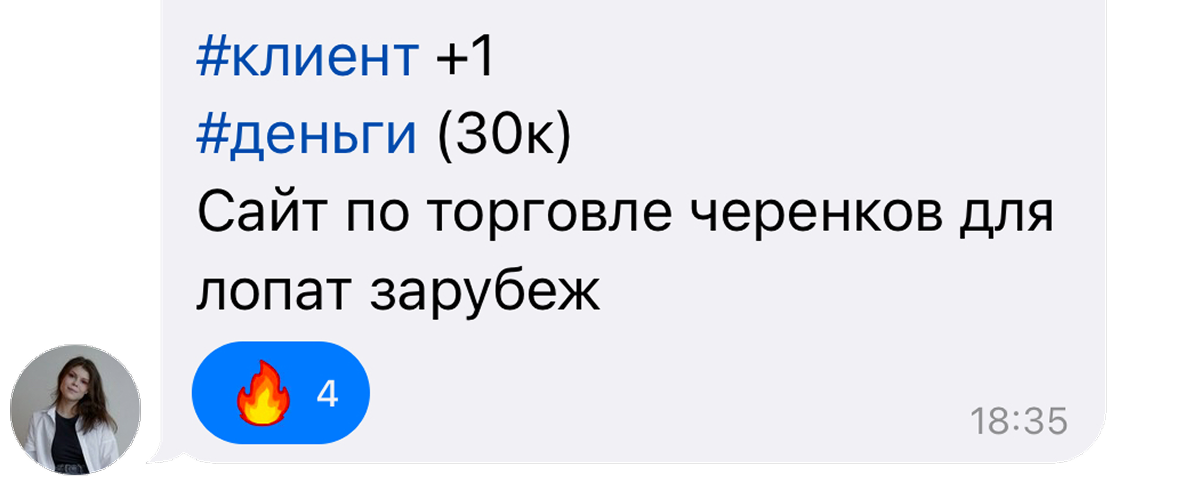 Сообщение ученицы о клиентском проекте за 30 тысяч рублей