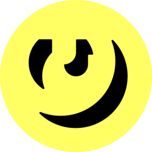 website icon