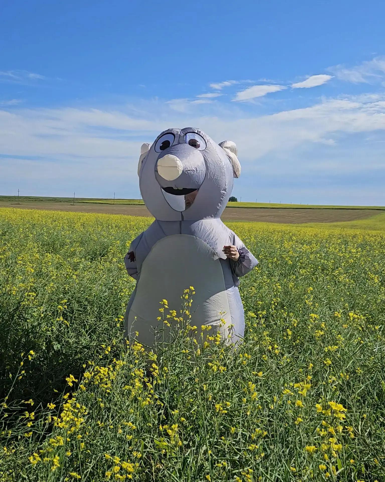Надувной костюм серой крысы