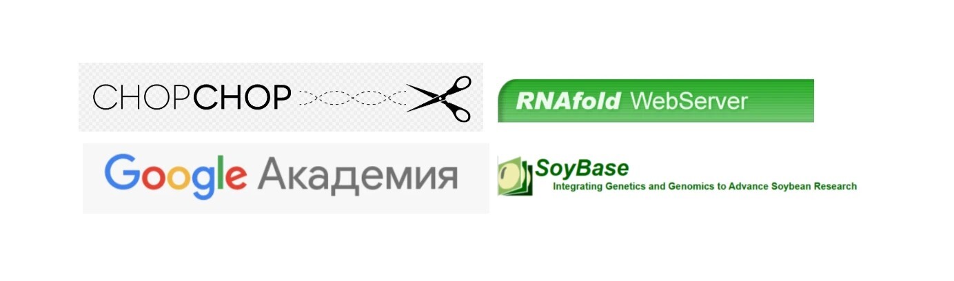 Plasmid map
