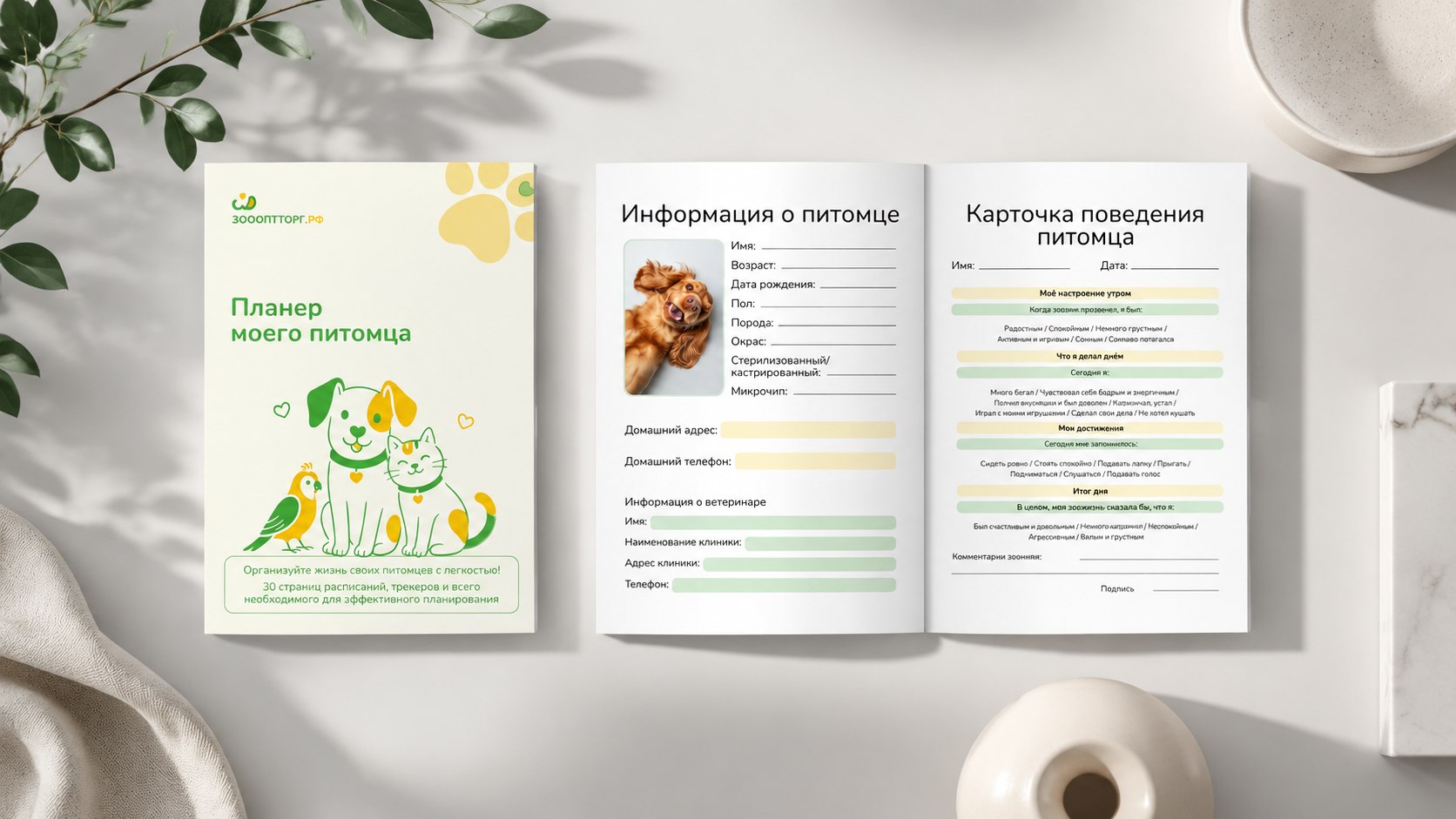 Мокап пакетов кофе
