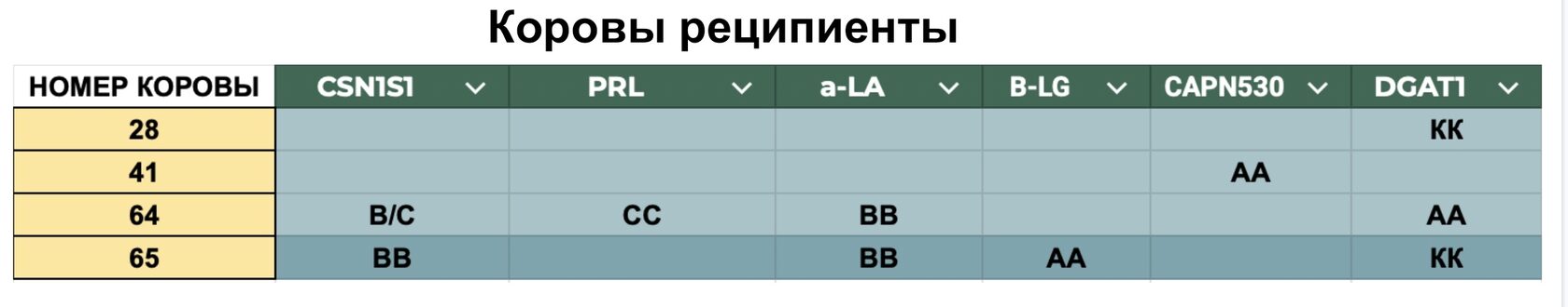 src=</div