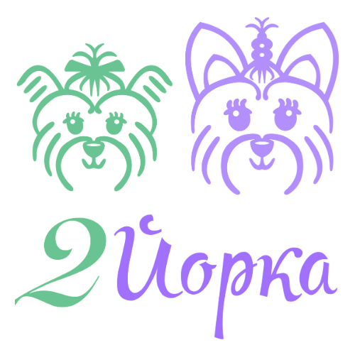  2 ЙОРКА 