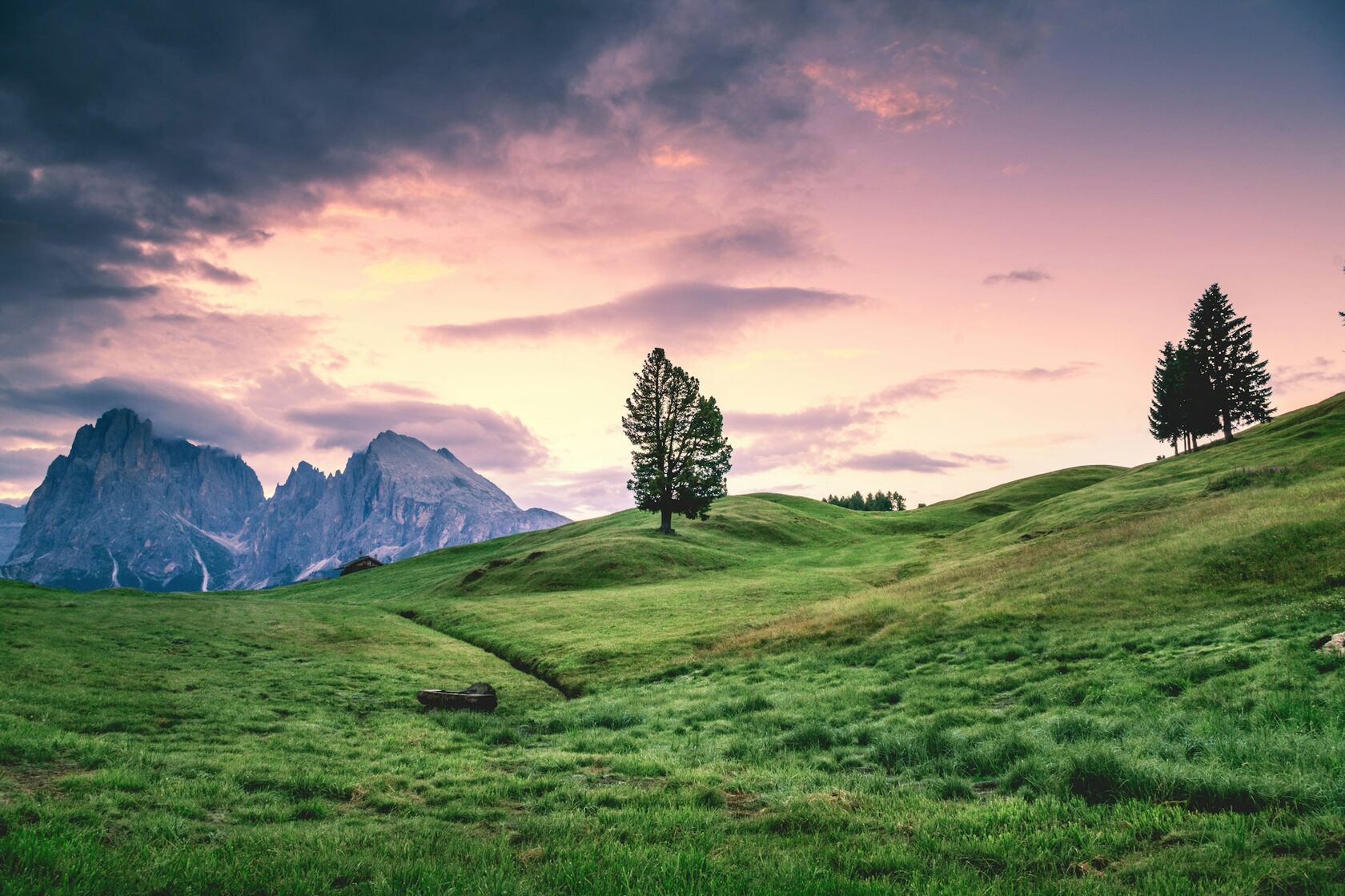 Landscape