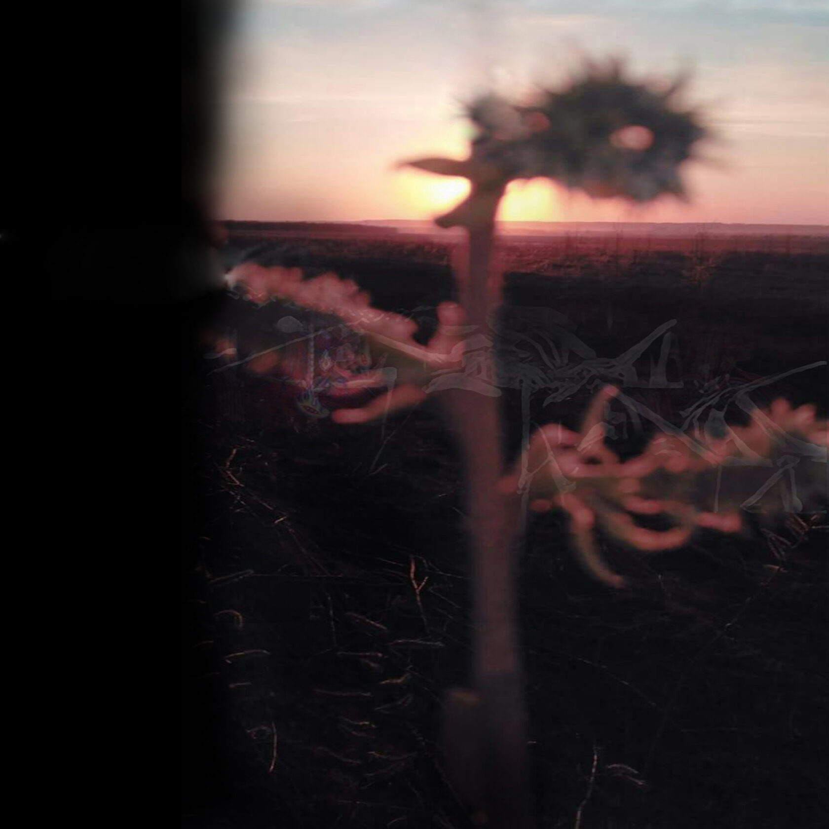 Заголовок вашего поста 1