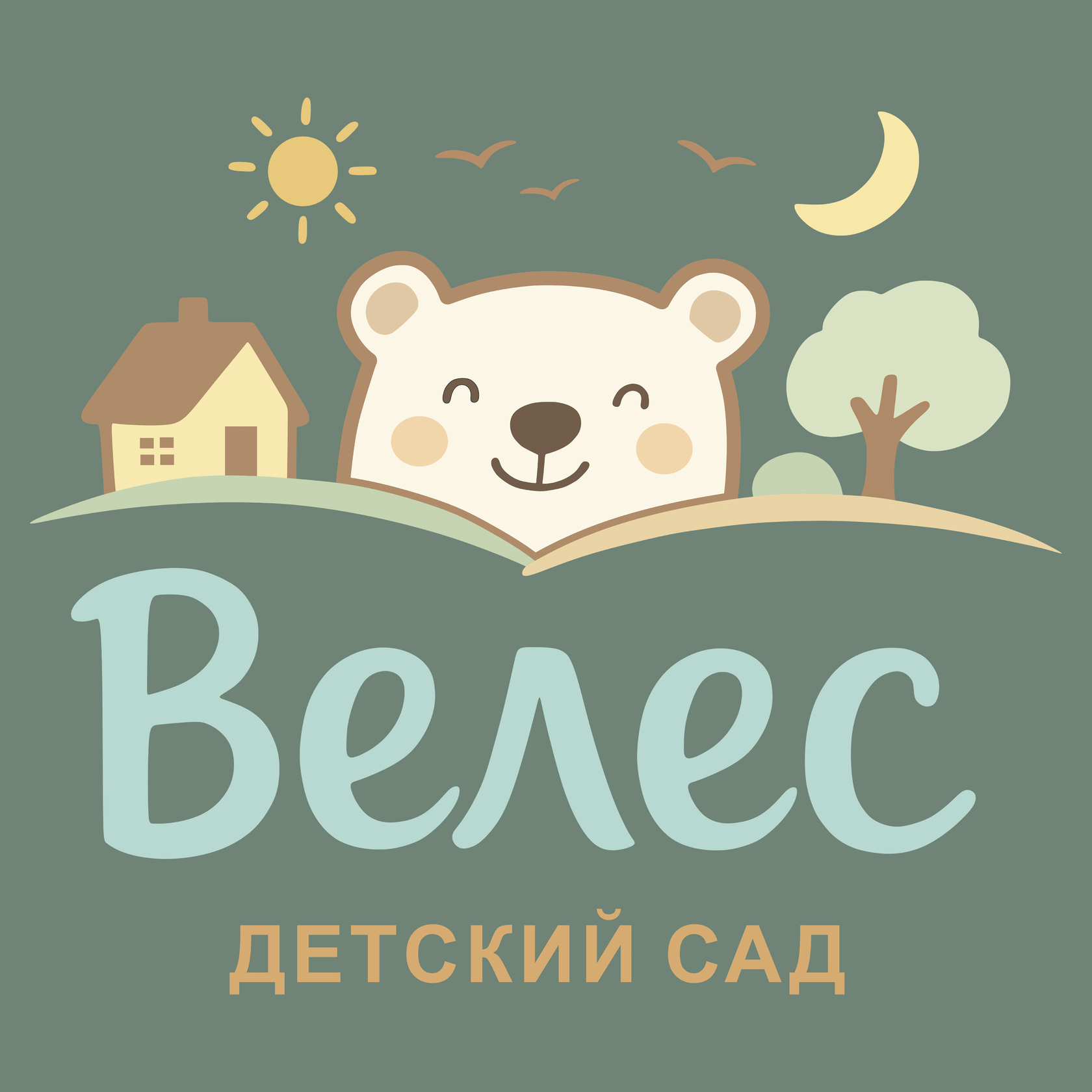  Центр детского развития "Велес" 