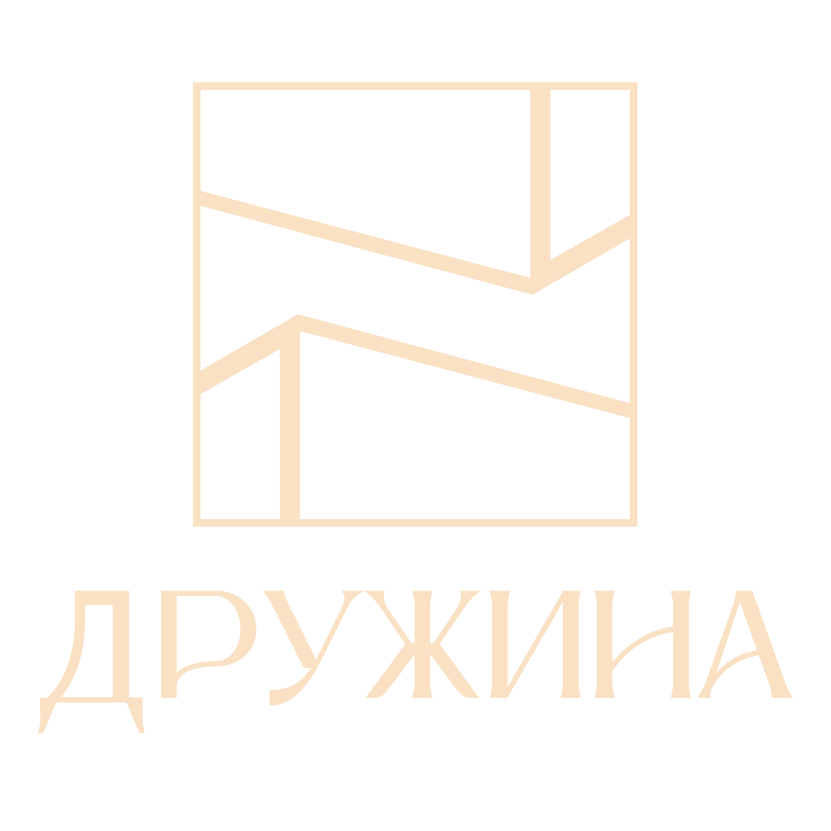 Дружина