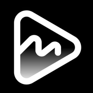 website icon