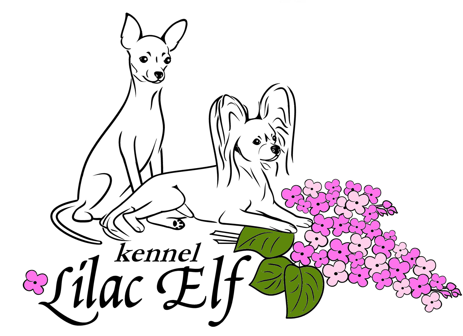 Детский садик Аспин