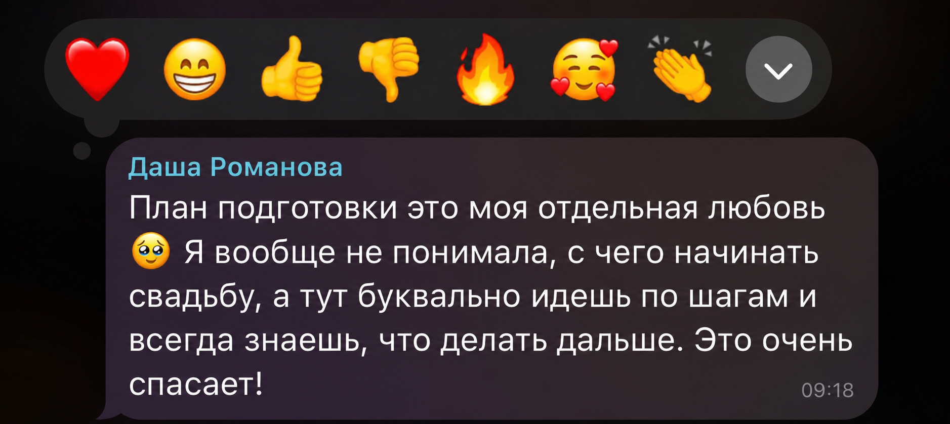 Оригинальный отзыв Даши Романовой о WeddMapp