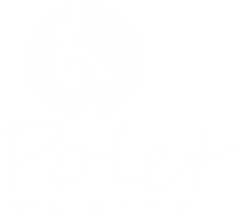 Студия воздушной гимнастки