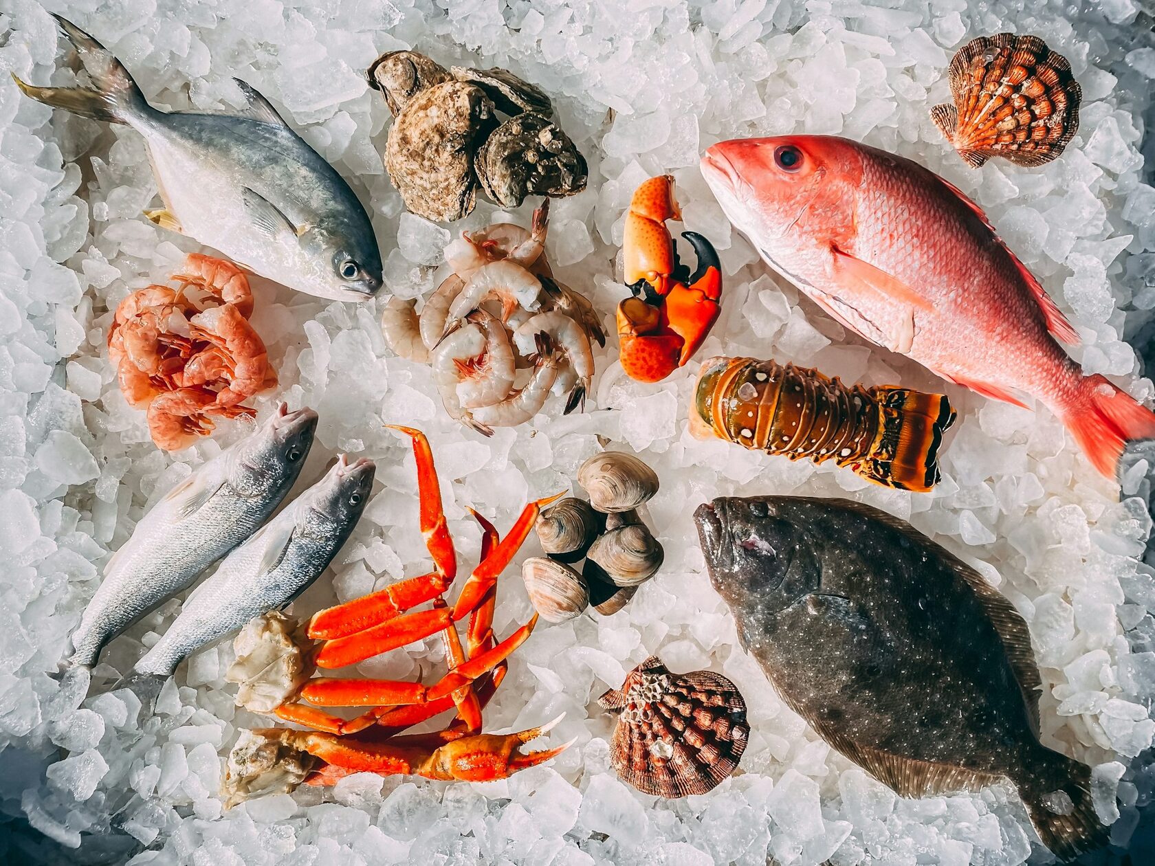 Рыба и морепродукты
