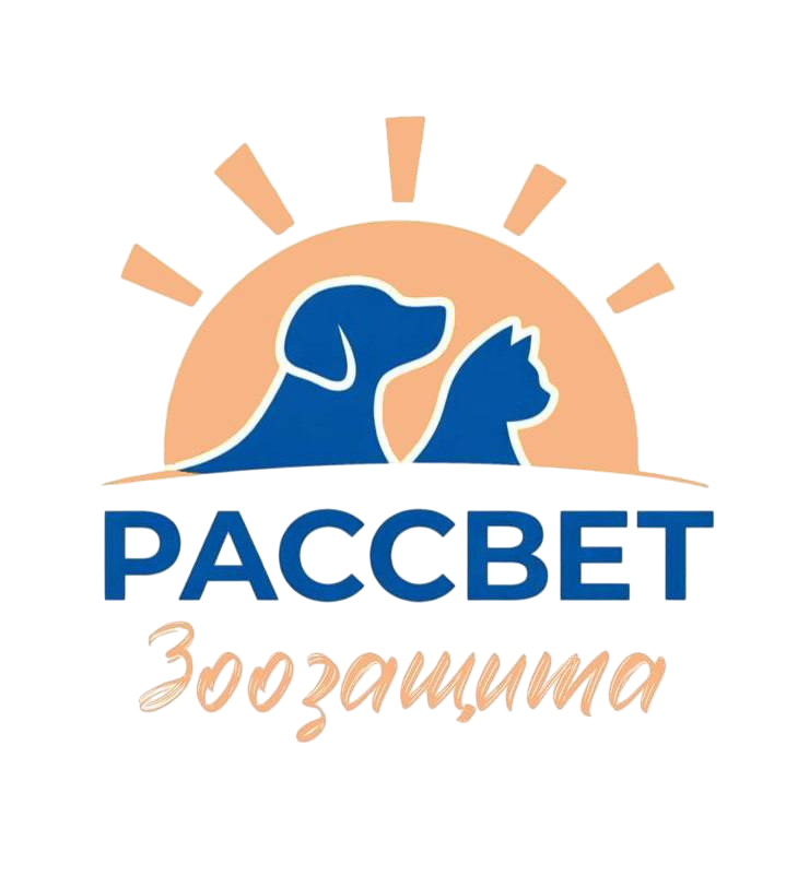 Рассвет.Зоозащита