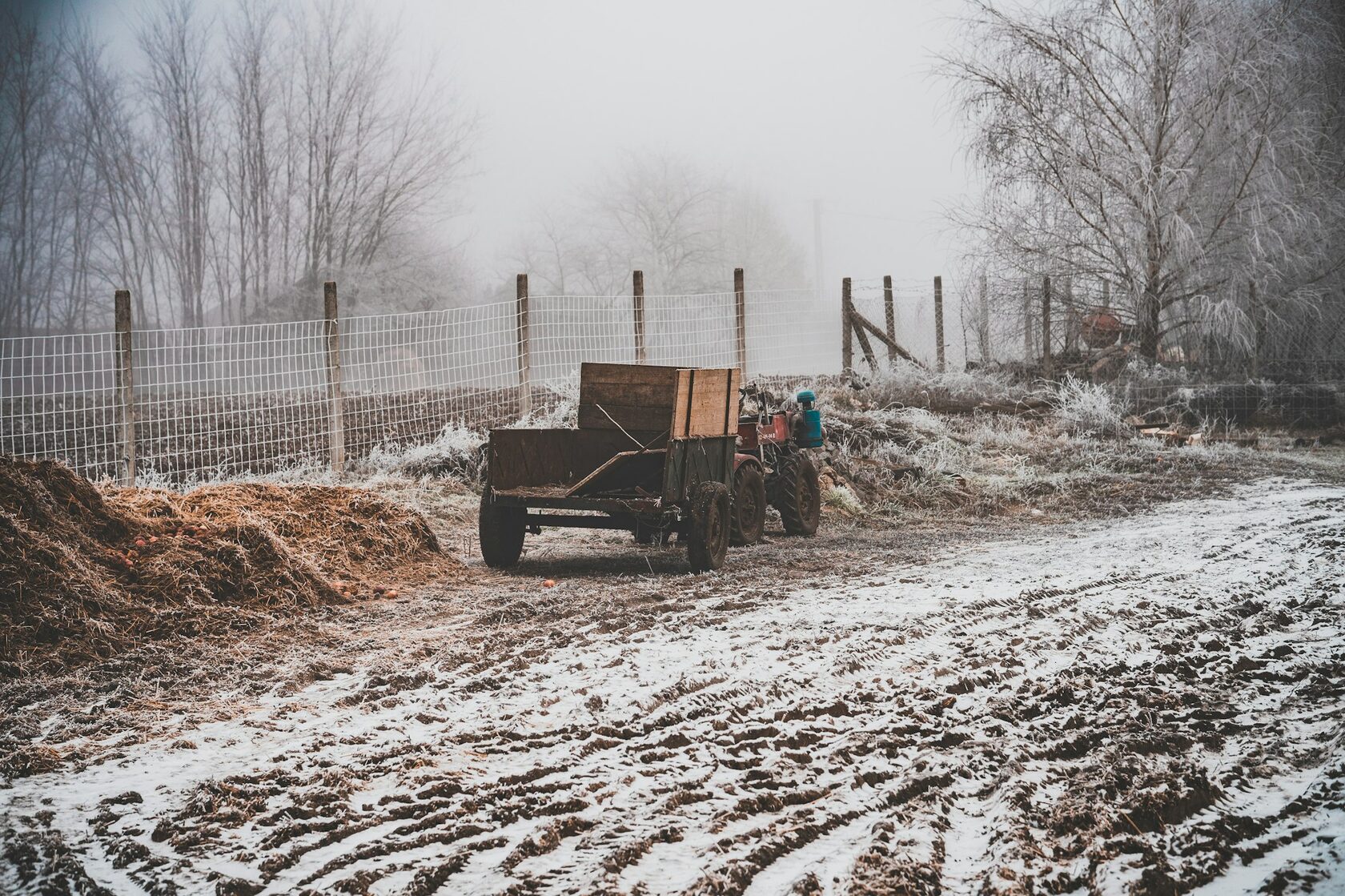 Донецкий уголь, семечко 13–25 мм