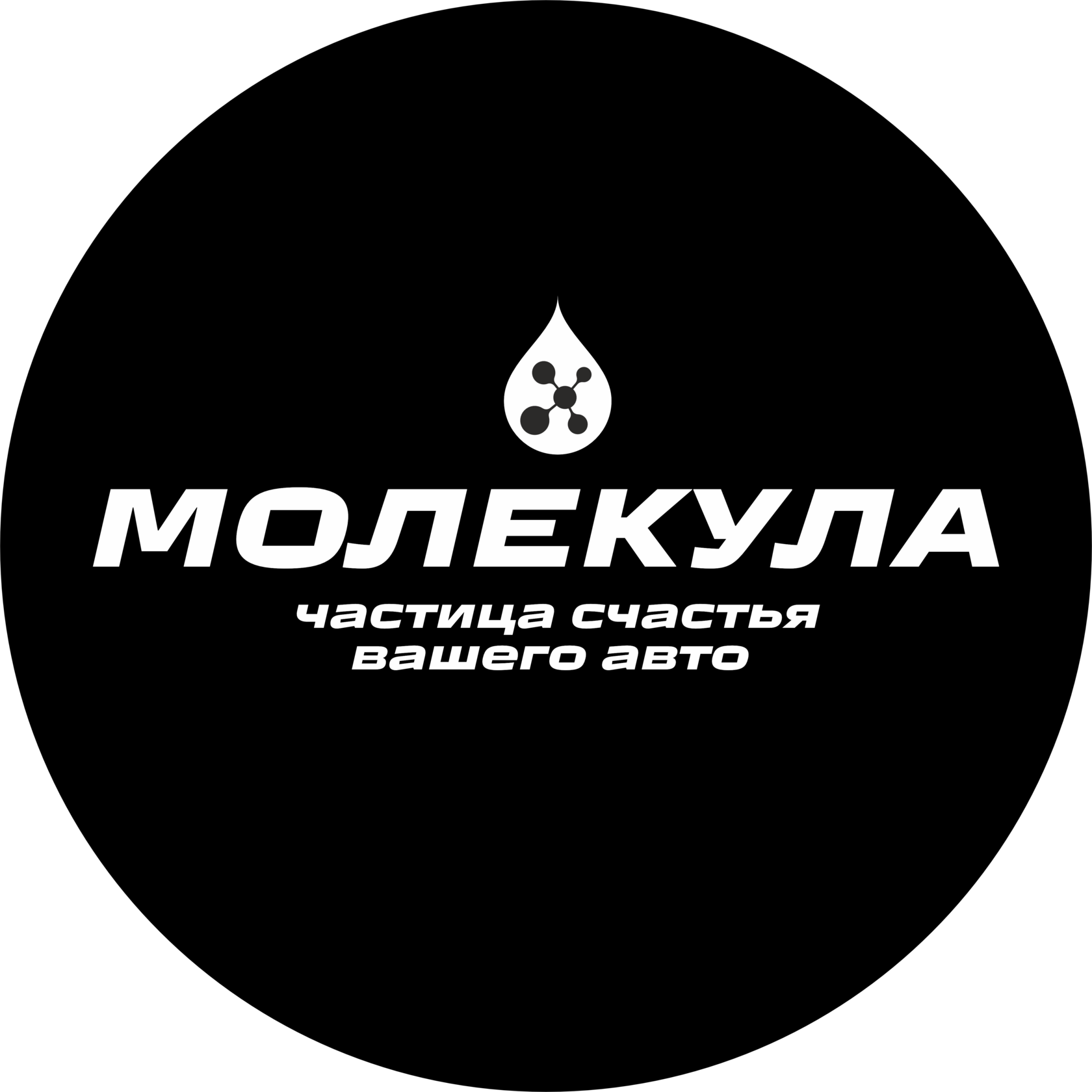 Магазин масел и жидкостей Молекула