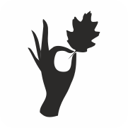 website icon