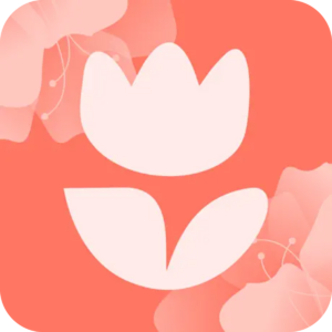 website icon