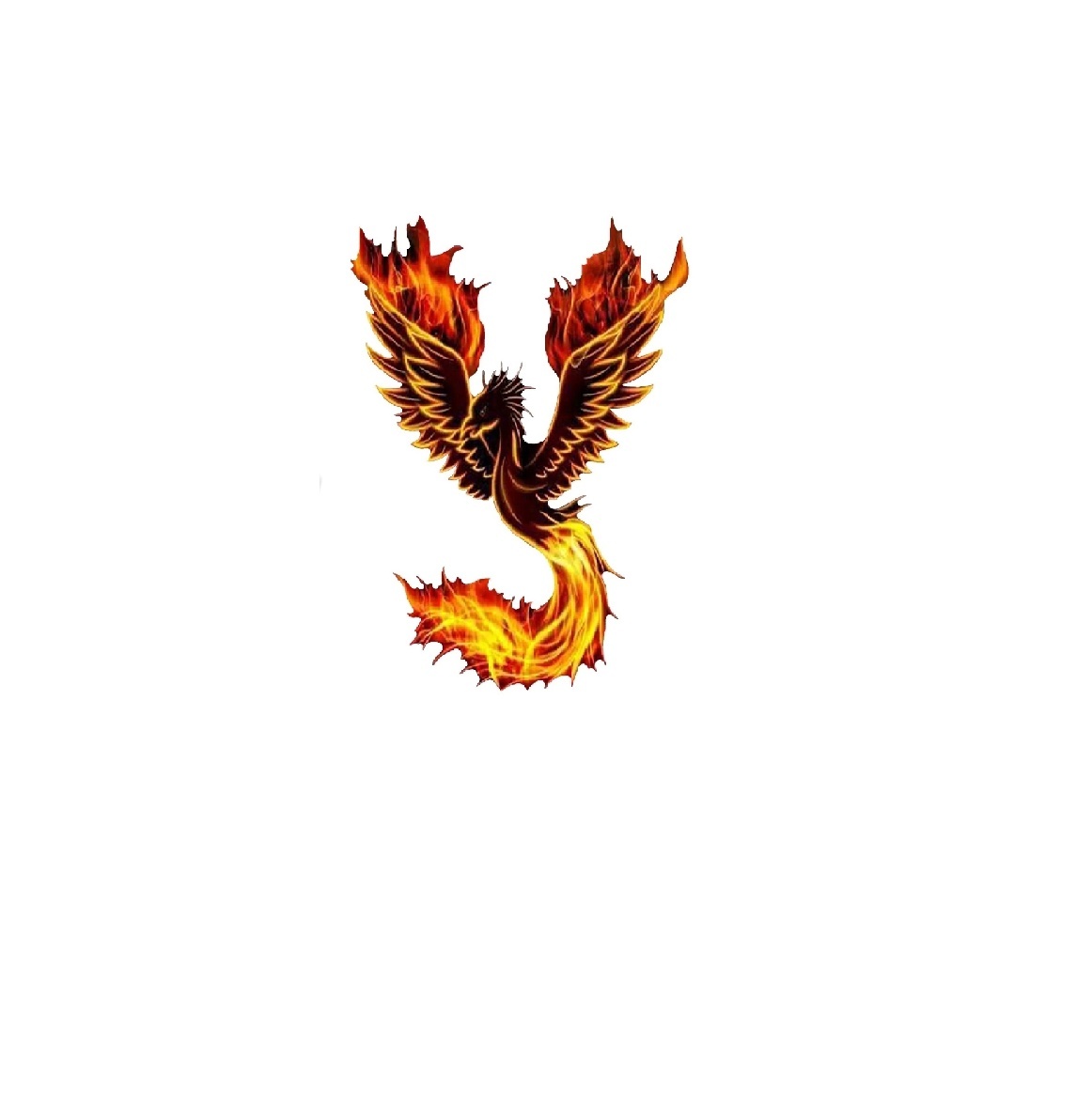 Клуб Чирлидинга "Флаер"