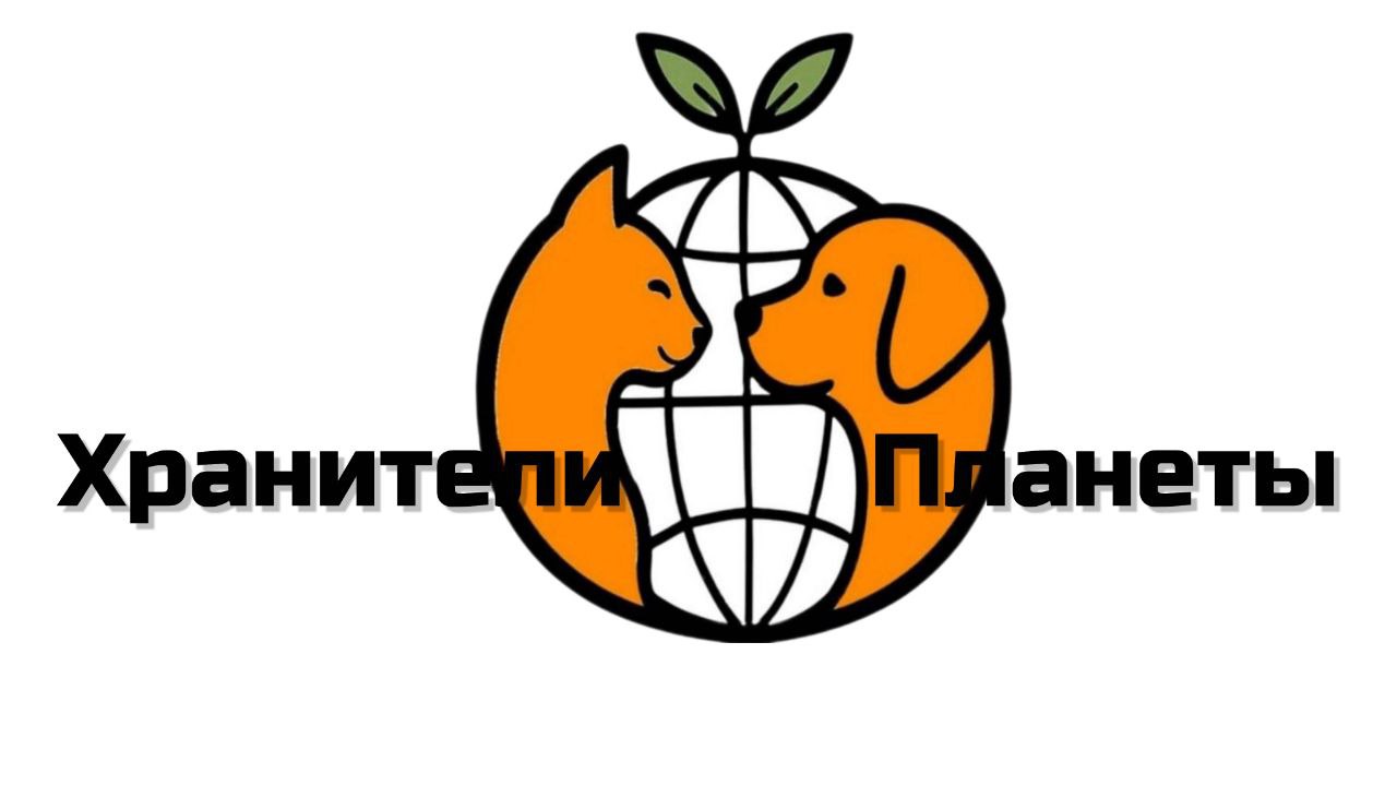 Company