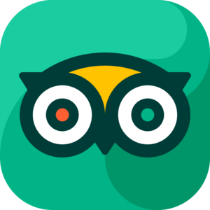 website icon