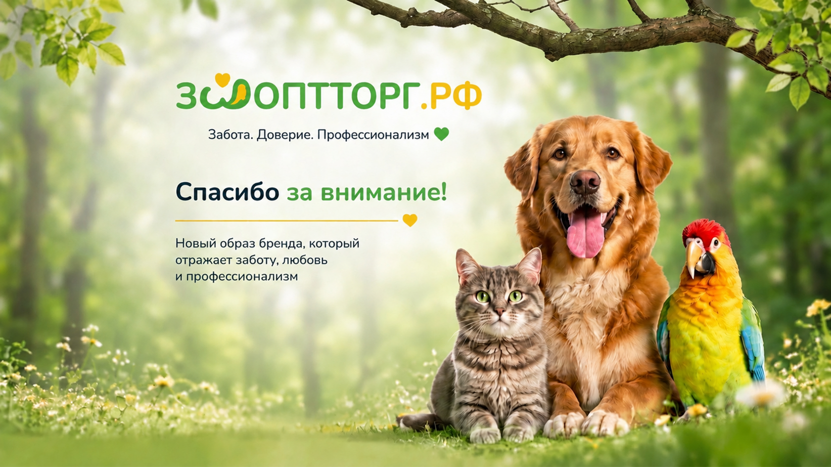 Финальный кадр — пролив кофе