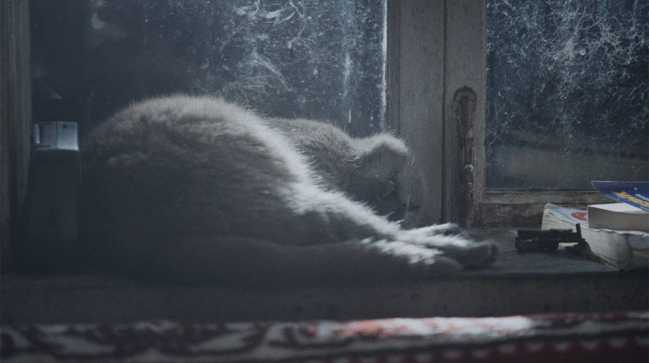 Кадр из фильма