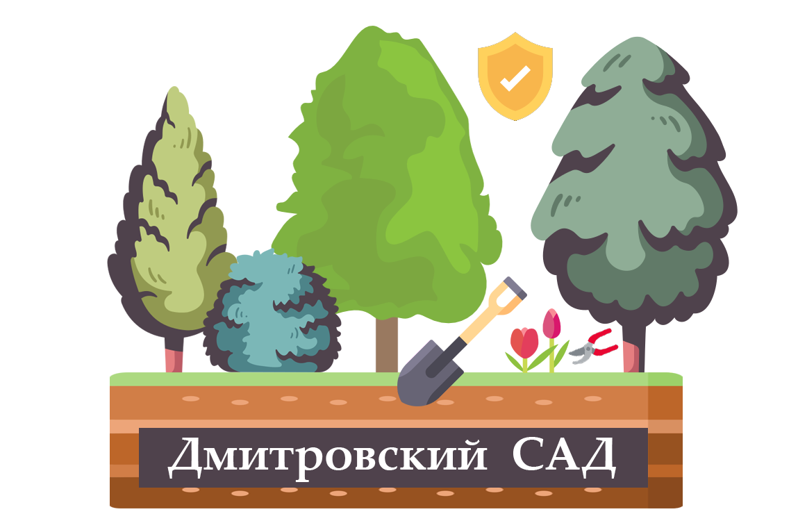 Company