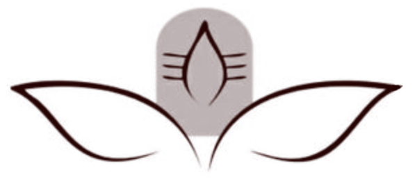 Танец женской силы