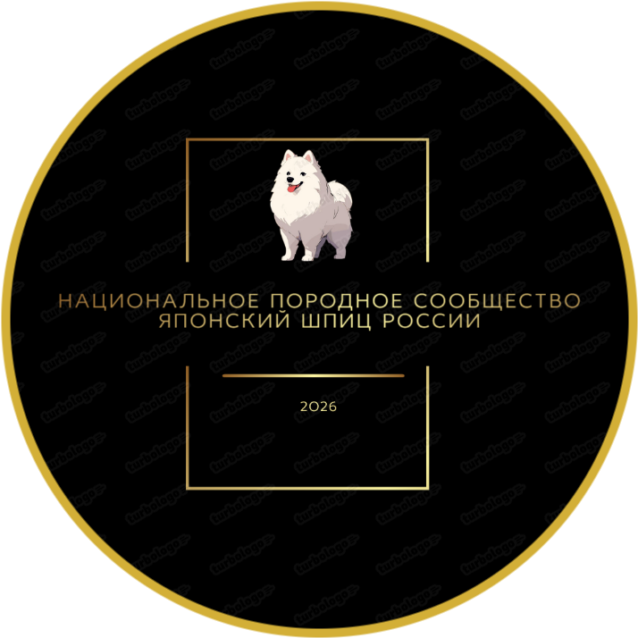 Японский шпиц России