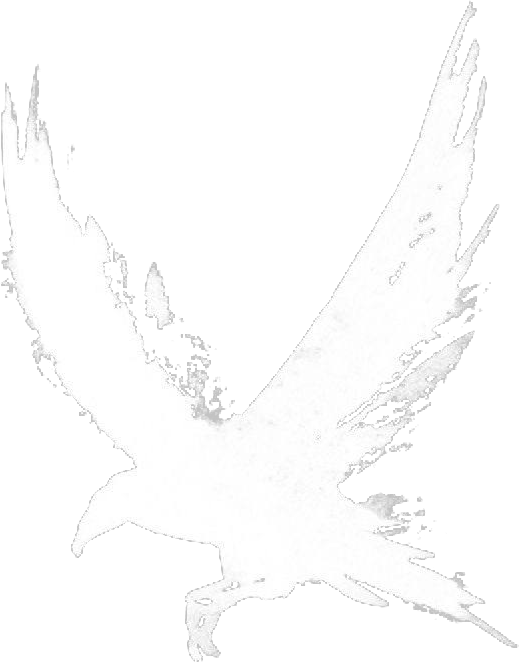  White Crow Brand 