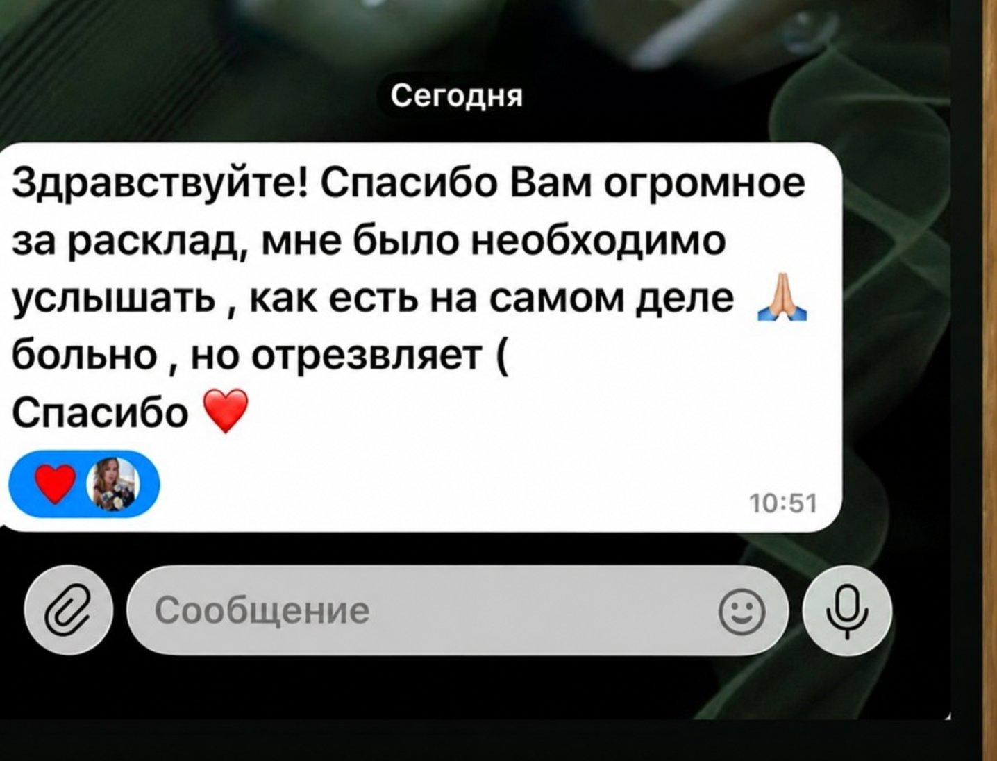 Отзыв о работе Мари