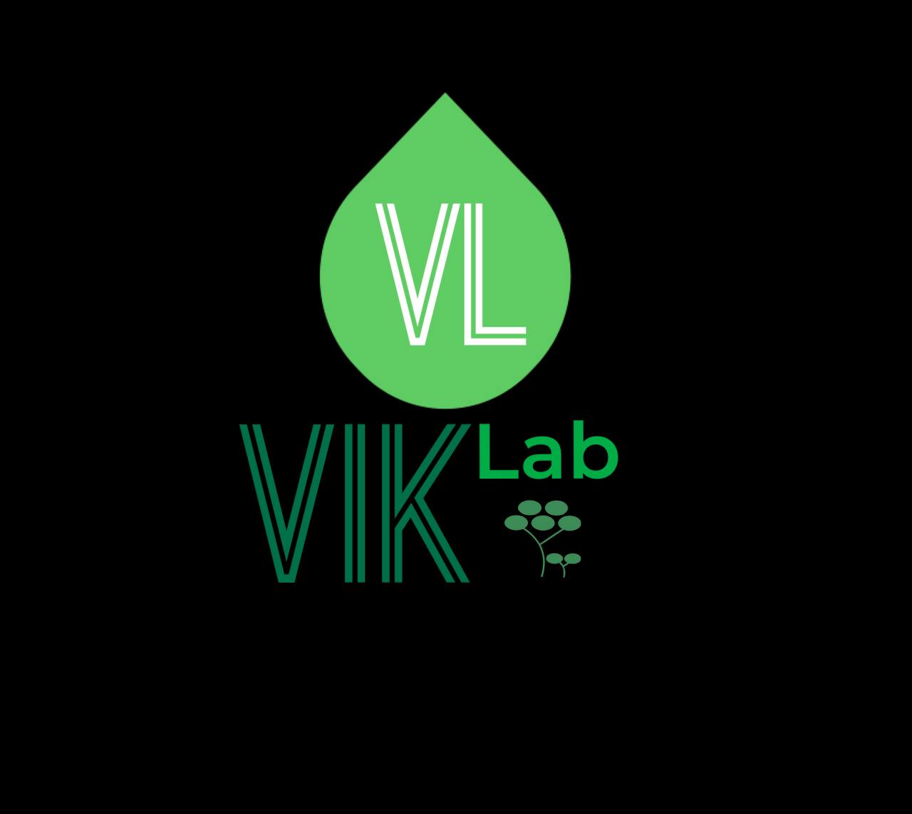 VikLab
