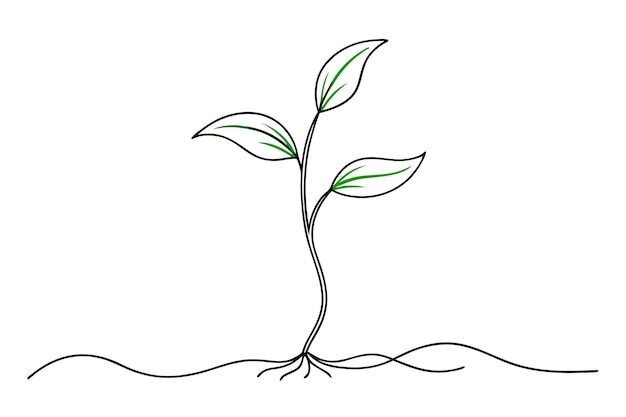  АВТОНОМНАЯ НЕКОММЕРЧЕСКАЯ ОРГАНИЗАЦИЯ "РАЗВИТИЕ ИНТЕЛЛЕКТУАЛЬНОГО ТВОРЧЕСТВА ДЕТЕЙ "РОСТОК" 