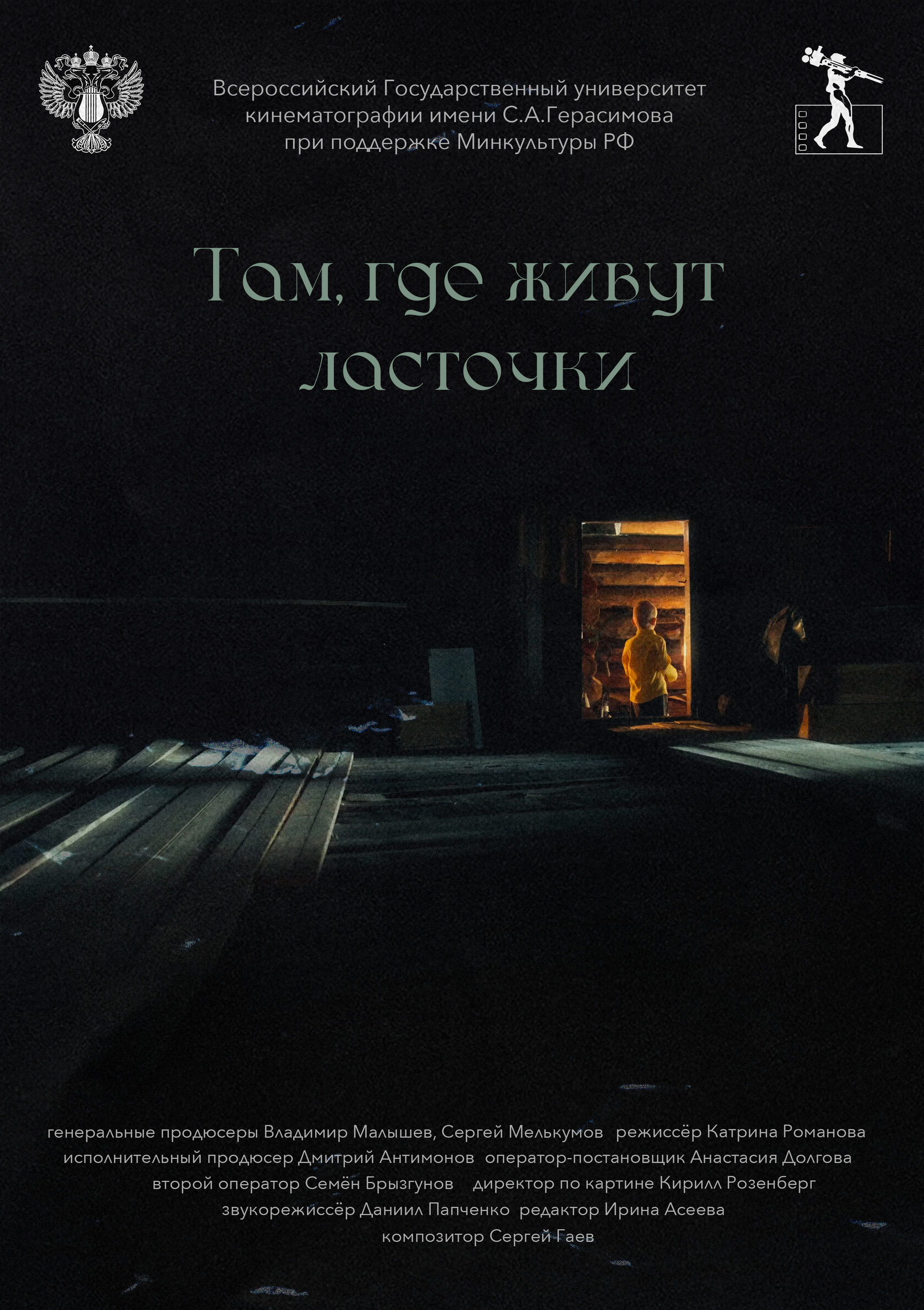 Постер фильма 'Там, где живут ласточки'