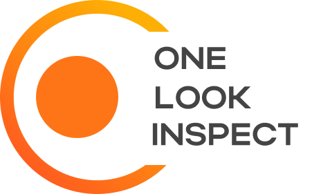 ONE LOOK INSPECT