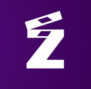 website icon