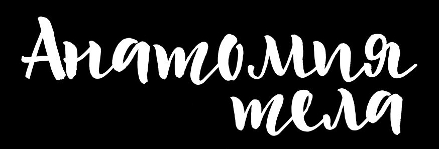 Анатомия тела