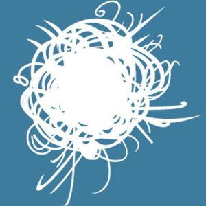 website icon