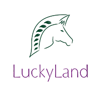 Lucky Land