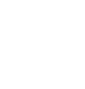 website icon