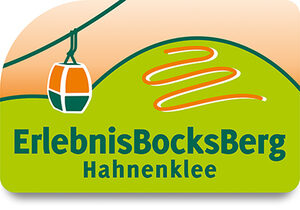 website icon