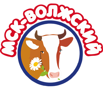 Company