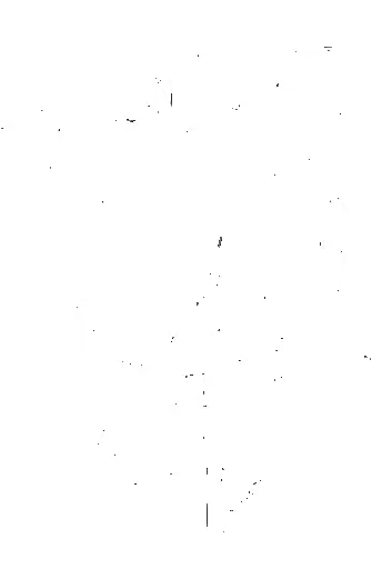 Лилия