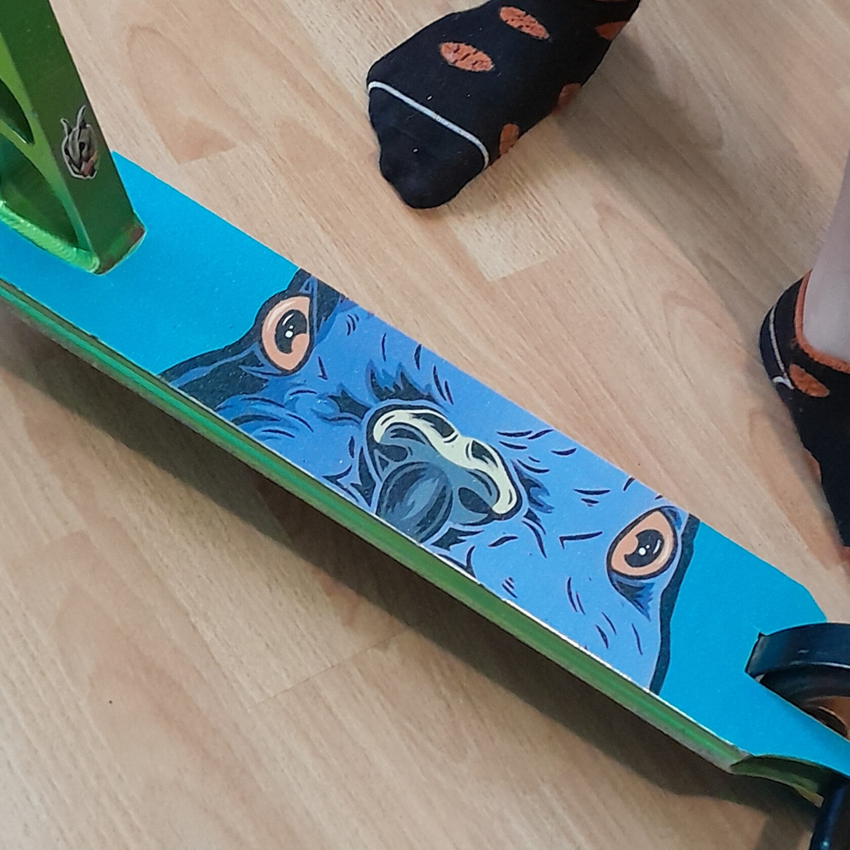 Наклейка шкурки