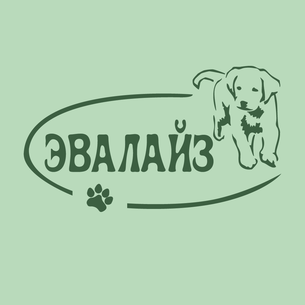  Питомник "Эвалайз" Щенки лабрадора в Ярославле, Ярославской области. Щенки лабрадора в Москве. 